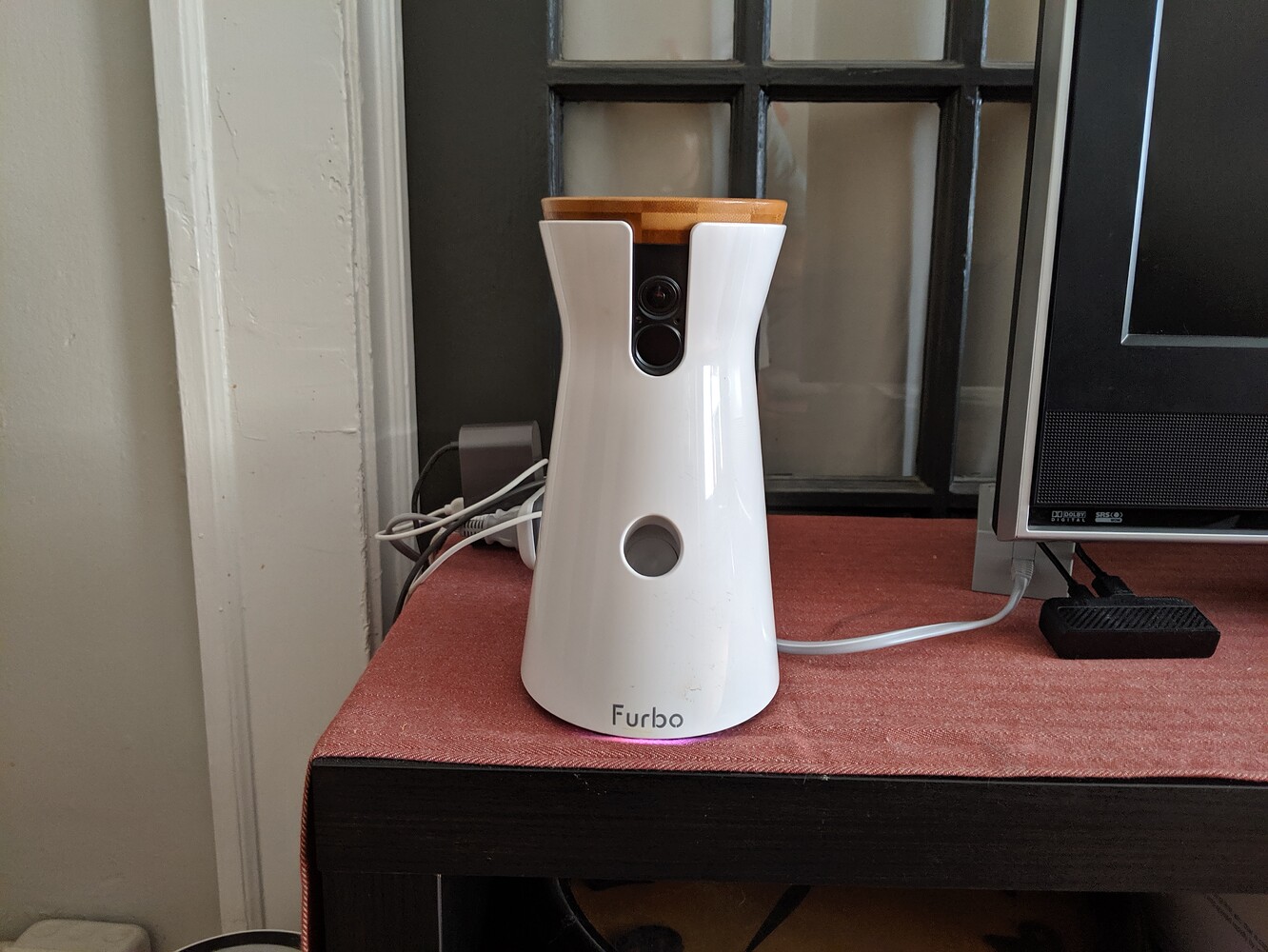 Beware of Furbo’s Dog Nanny Subscription - #2 by squirrelsrule - furbo