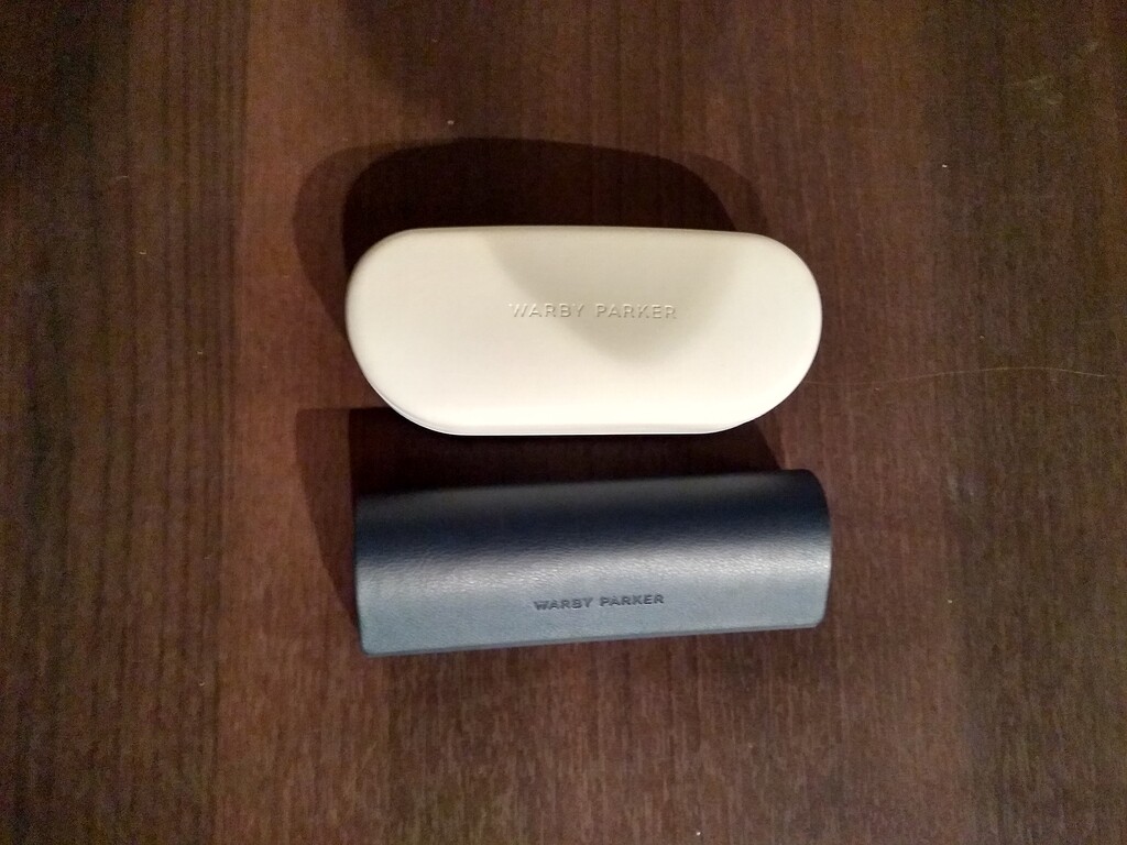 warby parker parker case