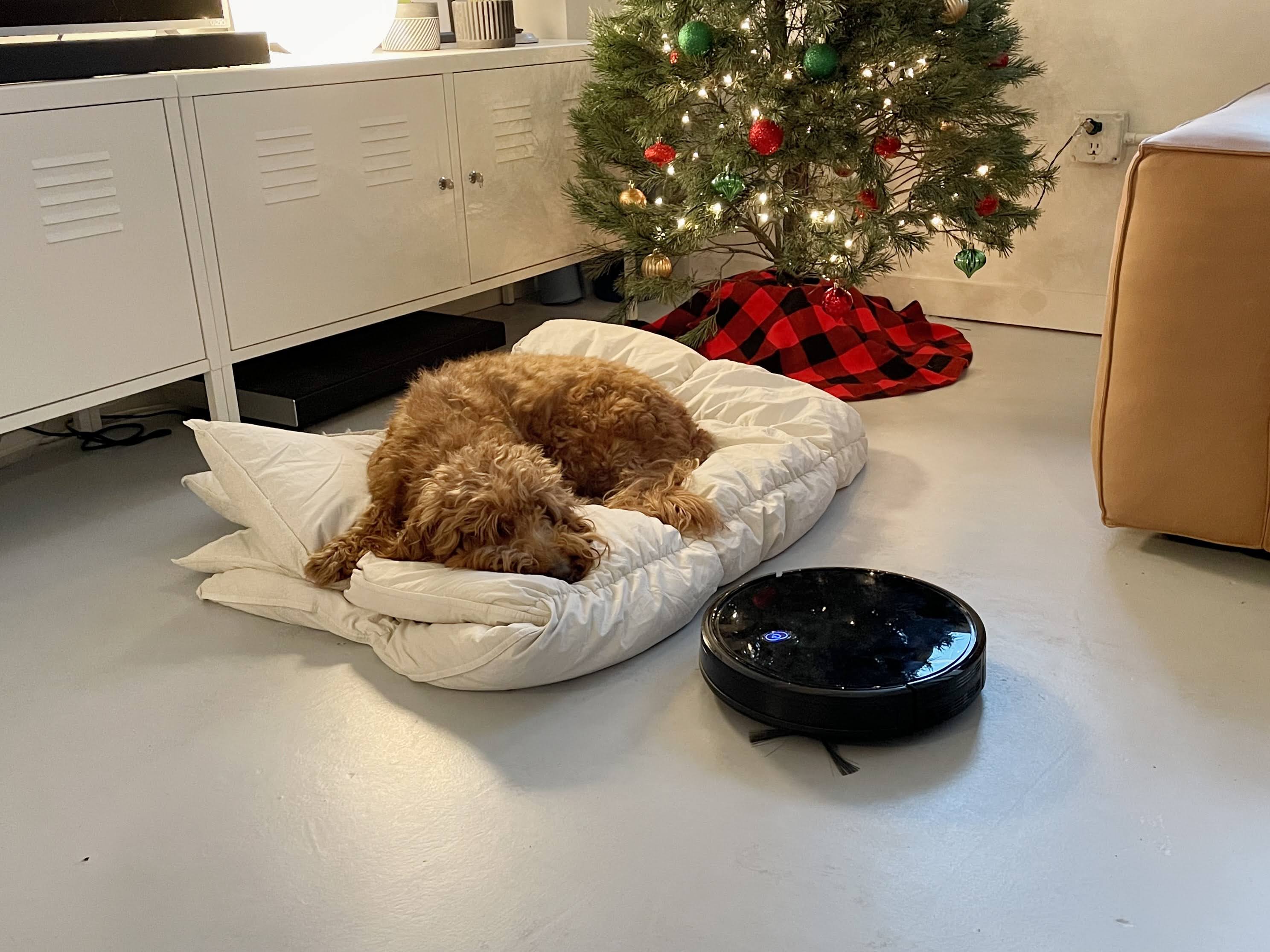 Eufy RoboVac 11S Robot Vacuum Review - Reviews - Product Notes
